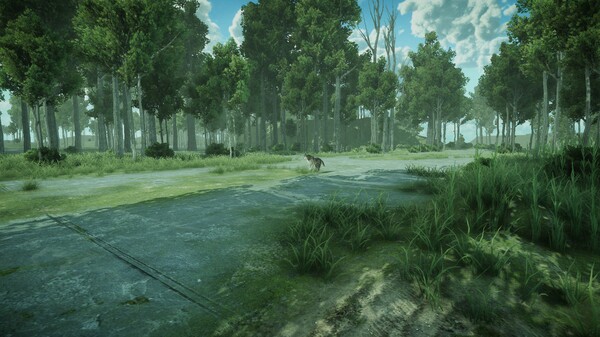 Forest Spring screenshot 7