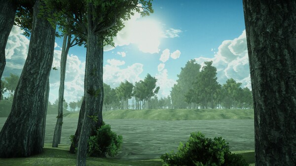 Forest Spring screenshot 2
