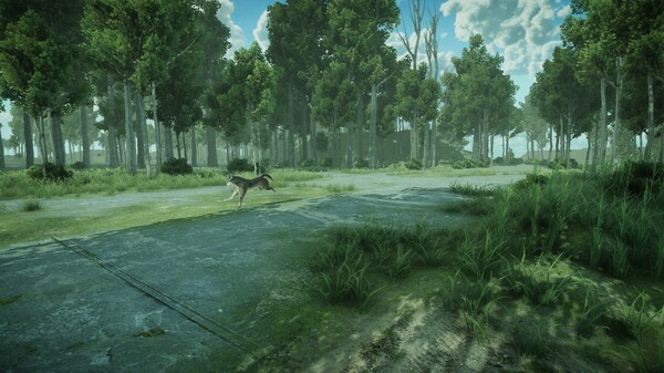 Forest Spring screenshot 6