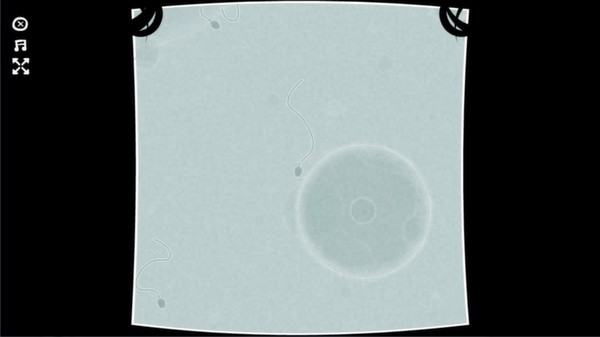 The Basement Collection screenshot 6