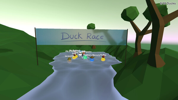 Duck Race screenshot 7