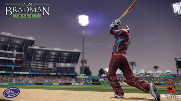 Don Bradman Cricket 14 screenshot 1