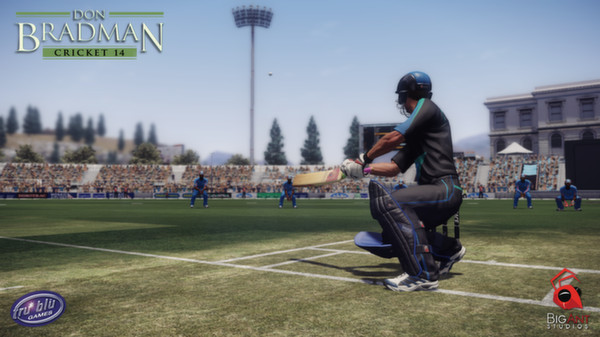 Don Bradman Cricket 14 screenshot 3