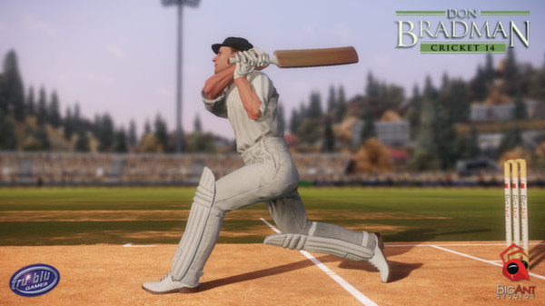 Don Bradman Cricket 14 screenshot 6