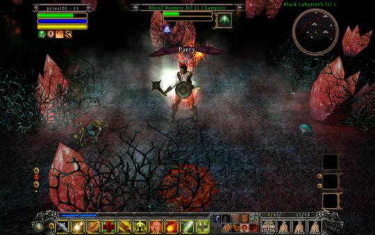 Din's Curse screenshot 1