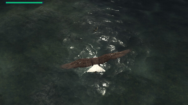 Eagle Hunting Journey screenshot 6