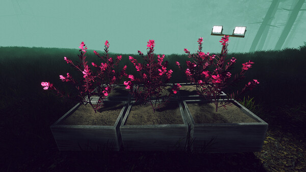 Odd Woods screenshot 5
