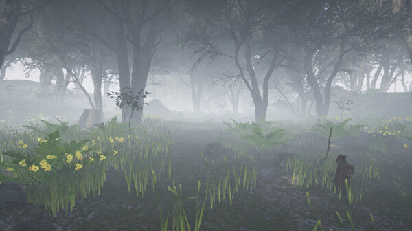 The shelter of patient screenshot 1
