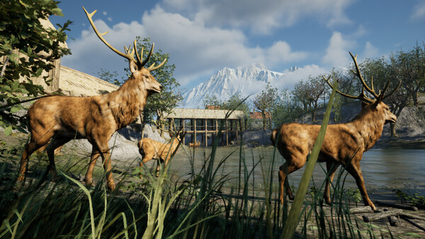 HUDDAM screenshot 4
