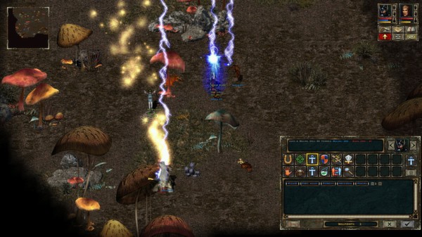 Beyond Divinity screenshot 2