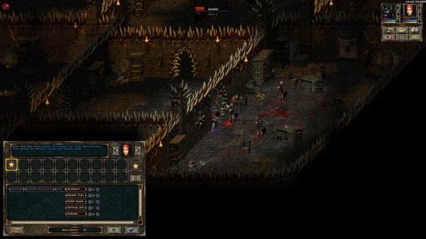 Beyond Divinity screenshot 0