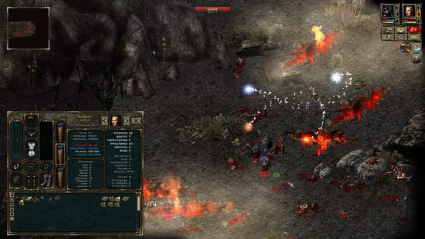 Beyond Divinity screenshot 3