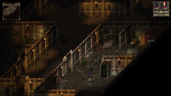 Beyond Divinity screenshot 4