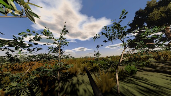 Hunting Life VR: Dove Season screenshot 5