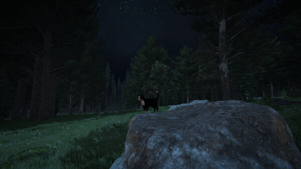 Cat Life screenshot 7