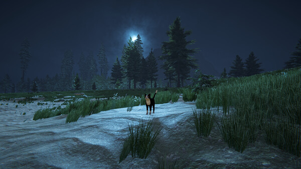 Cat Life screenshot 1