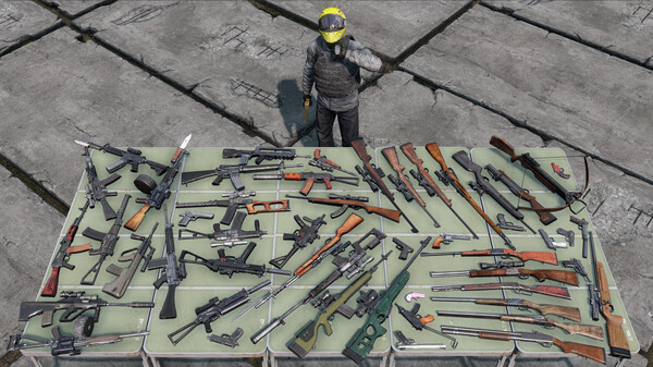 DayZ screenshot 12
