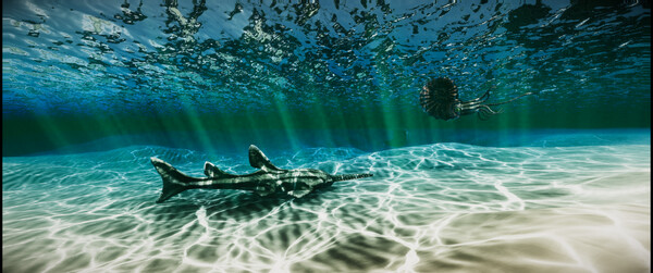 Dinosaur Simulator screenshot 7