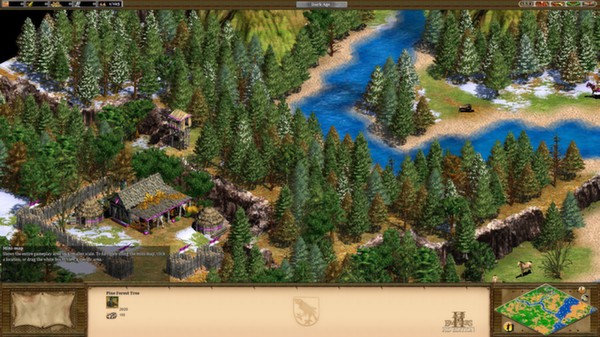 Age of Empires II (Retired) screenshot 2