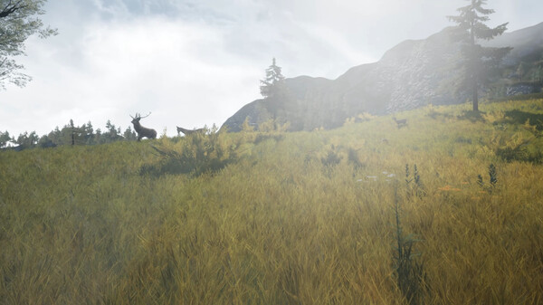 DragonHill VR screenshot 3