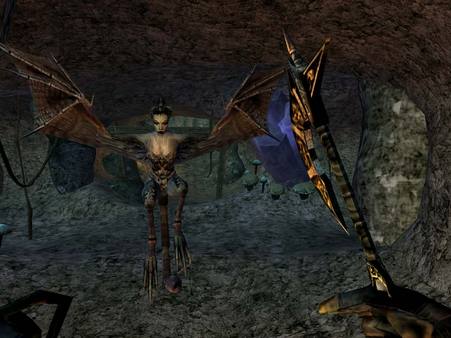 The Elder Scrolls III: Morrowind Game of the Year Edition screenshot 6
