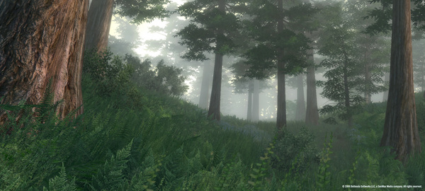 The Elder Scrolls IV: Oblivion Game of the Year Edition (2009) screenshot 1
