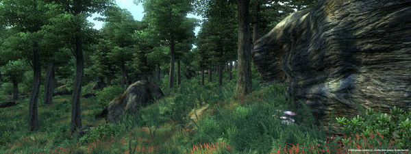 The Elder Scrolls IV: Oblivion Game of the Year Edition (2009) screenshot 2
