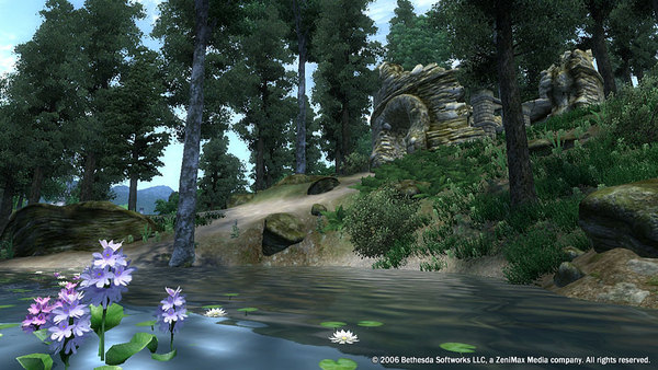The Elder Scrolls IV: Oblivion Game of the Year Edition (2009) screenshot 3