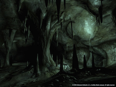 The Elder Scrolls IV: Oblivion Game of the Year Edition (2009) screenshot 10