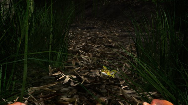 Miasmata screenshot 12