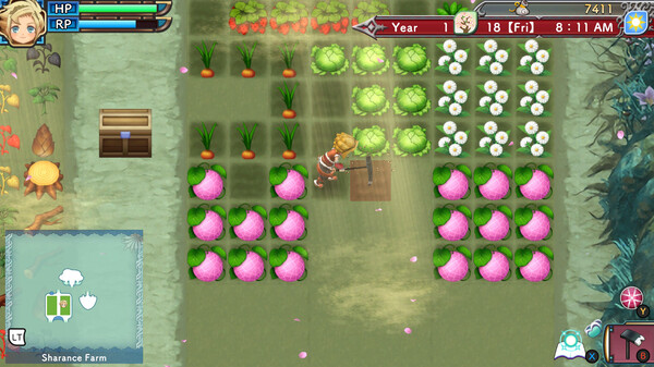 Rune Factory 3 Special screenshot 5