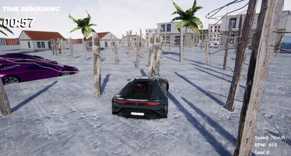 Nash Racing: 70 seconds left screenshot 2