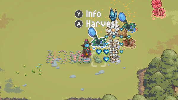 FloraMancer : Seeds and Spells screenshot 9