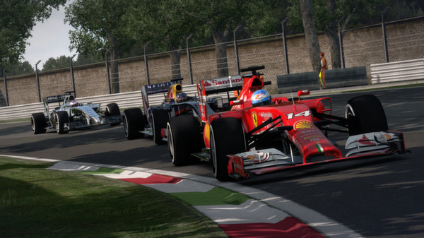 F1 2014 screenshot 9