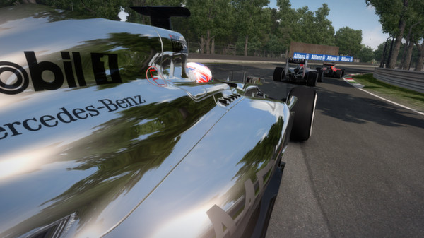 F1 2014 screenshot 4