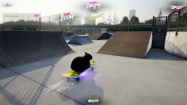 Drifting with Maxwell Cat: The Game screenshot 4