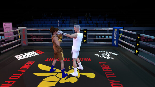 Golden Gloves VR screenshot 1