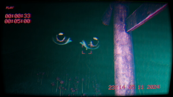 In the footage screenshot 1