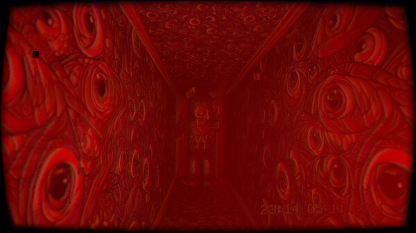In the footage screenshot 2