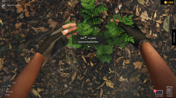 Aquascapers screenshot 8