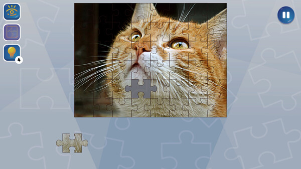 Jigsaw Puzzle Fever screenshot 2