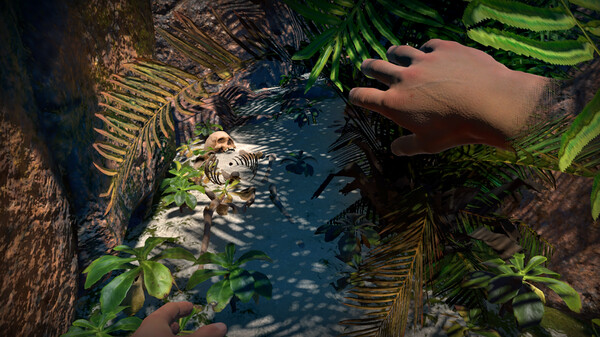 Beyond a Coral Sea screenshot 4