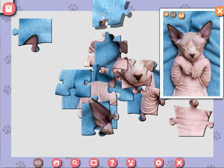 1001 Jigsaw. Cute Cats 5 screenshot 5