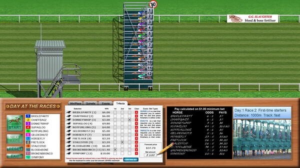 Day at the Races screenshot 5
