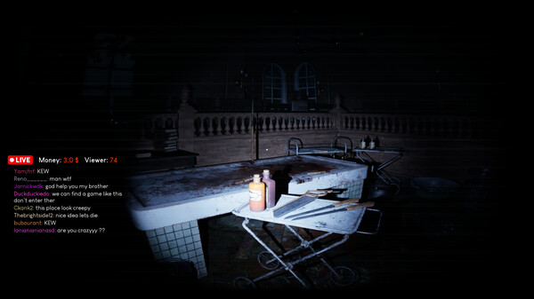 Madhouse Madness: Streamer's Fate screenshot 7