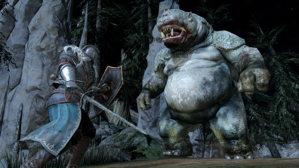 DARK SOULS II screenshot 11