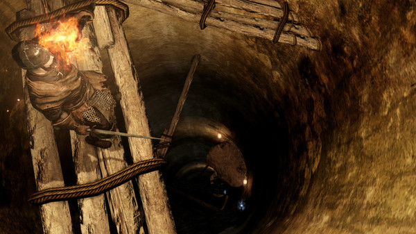 DARK SOULS II screenshot 8