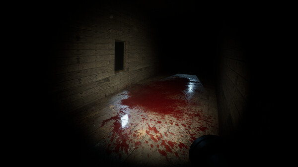 Fortune Follow: The Mansion screenshot 12