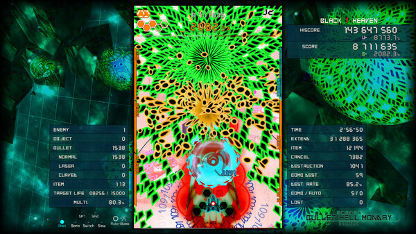 Bullet Hell Monday: Black screenshot 4