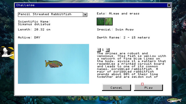 Down Under screenshot 3